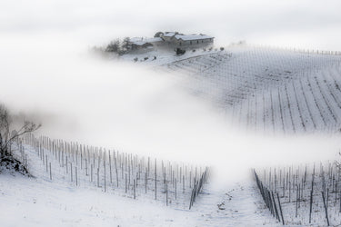 Nebbia invernale nel Monferrato