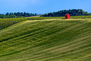 Campo verde ondulato con casotto rosso